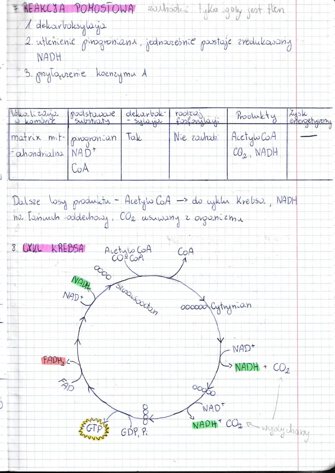 T:
1 x Lekija
Oddychanie
juhanie komórkowe. Odolycho-nie tlenowe..
CZYM JEST ODDYCHANIE KOMORKOWE ?
• oddychanie komorkowe jest procesem utl