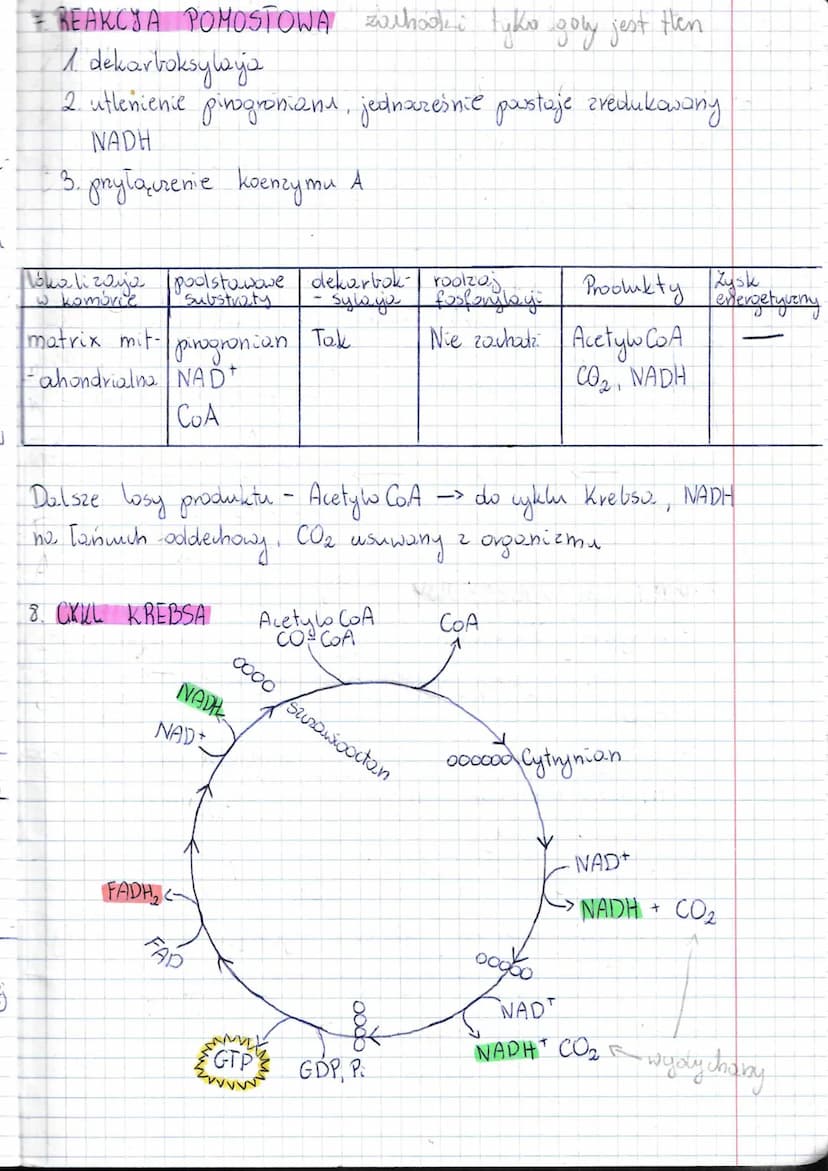 T:
1 x Lekija
Oddychanie
juhanie komórkowe. Odolycho-nie tlenowe..
CZYM JEST ODDYCHANIE KOMORKOWE ?
• oddychanie komorkowe jest procesem utl