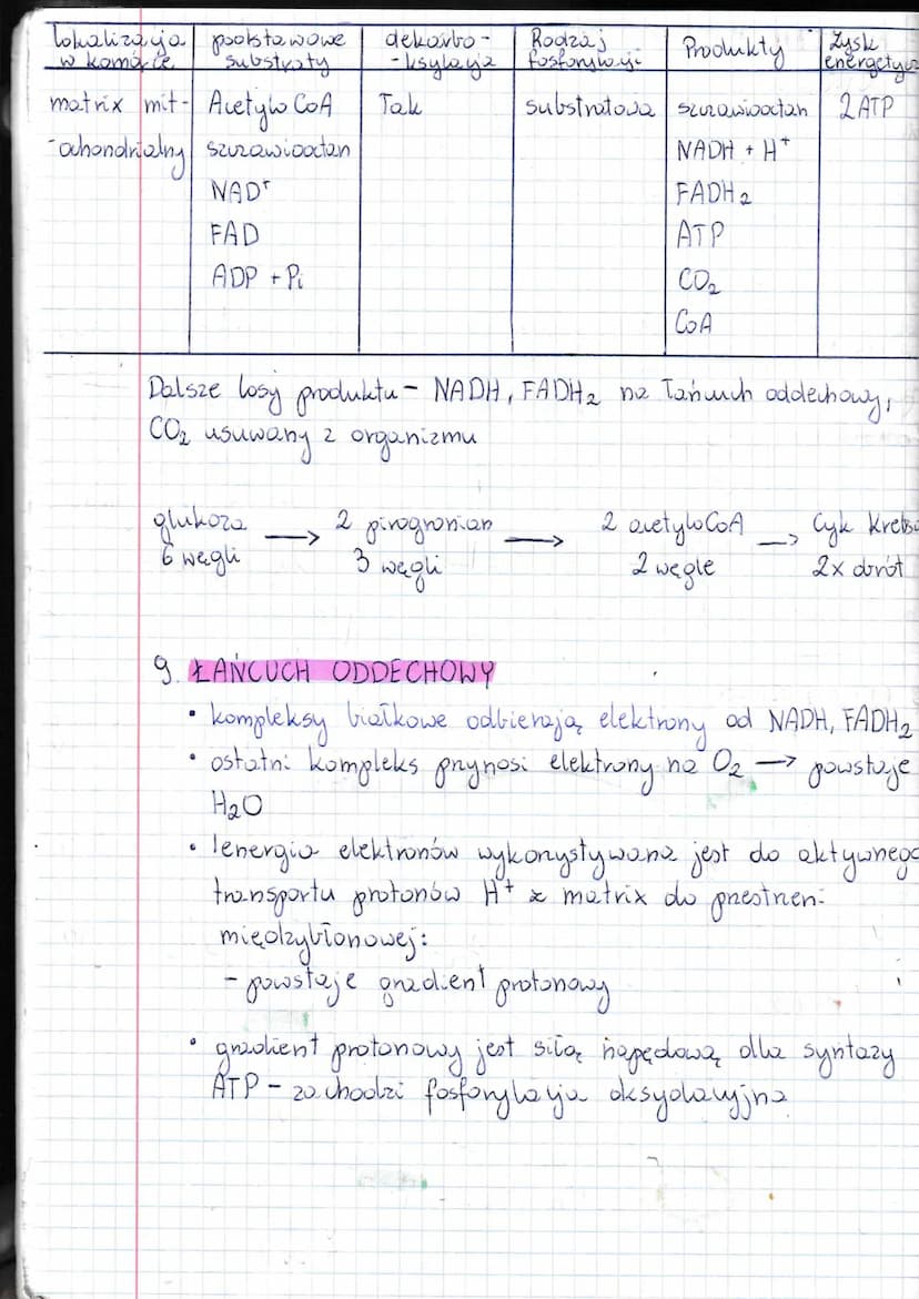 T:
1 x Lekija
Oddychanie
juhanie komórkowe. Odolycho-nie tlenowe..
CZYM JEST ODDYCHANIE KOMORKOWE ?
• oddychanie komorkowe jest procesem utl