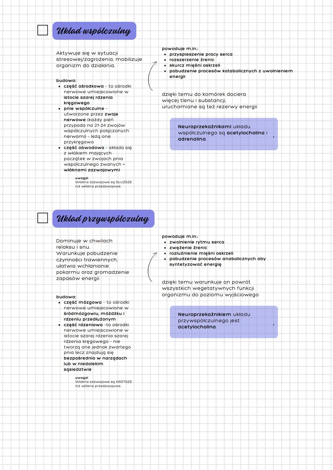 --- OCR Start ---
Układ nerwowy
człowieka
Budowa
a) podział anatomiczny
- ośrodkowy ukł. nerwowy
- mózgowie
- rdzeń kręgowy
- obwodowy ukł. 