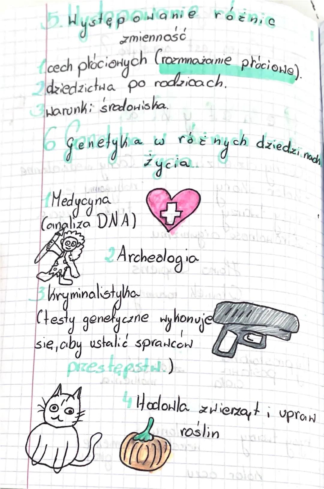 # lekcja nr 1

Temot: Czym jest genetyka?

# Genetyka

1. Cechy dziedziczne
- kolor skóry
- rysy twarzy
- zdrowotność organizmu

2. Cechy ni