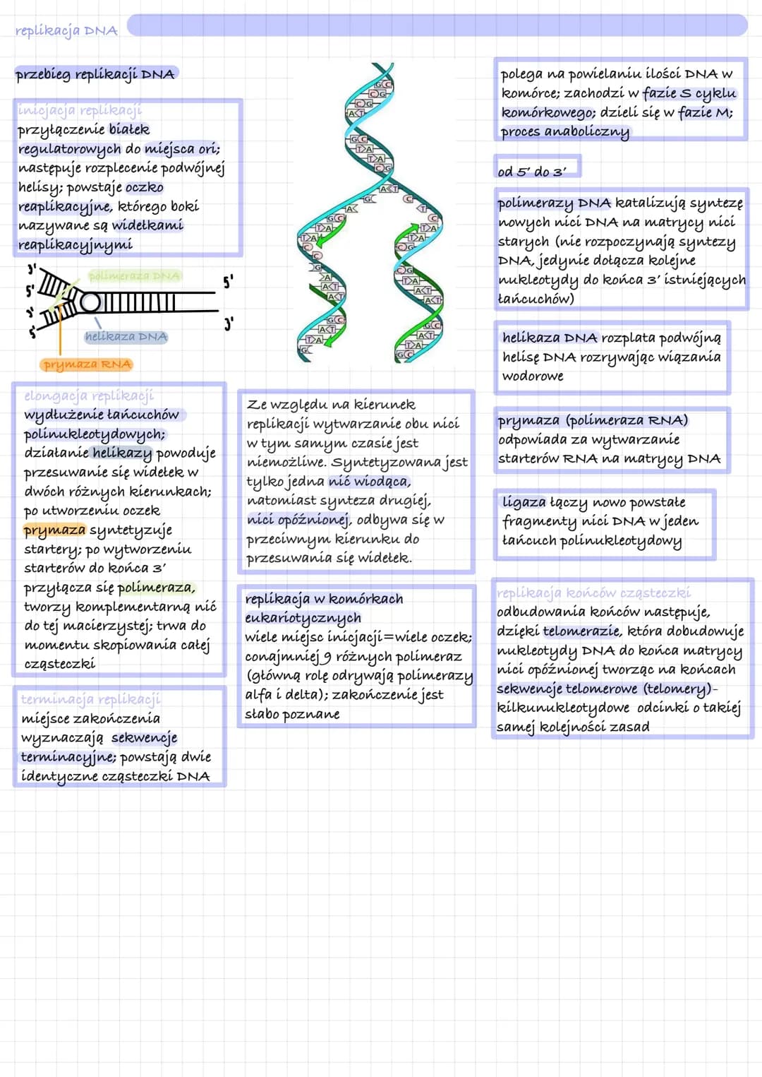 replikacja DNA