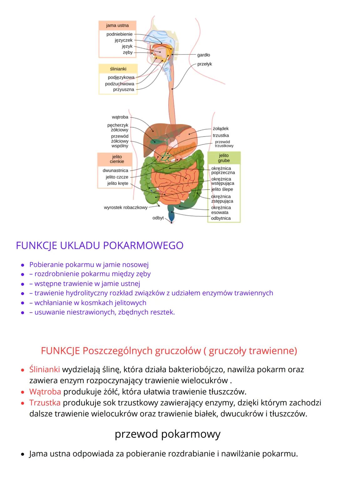 --- OCR Start ---
ORGANICZNE SKLADNIKI POKARMOWE
• Cukry (węglowodany) - ich podstawowa funkcja jest dostarczanie organizmowi energii,
dziel