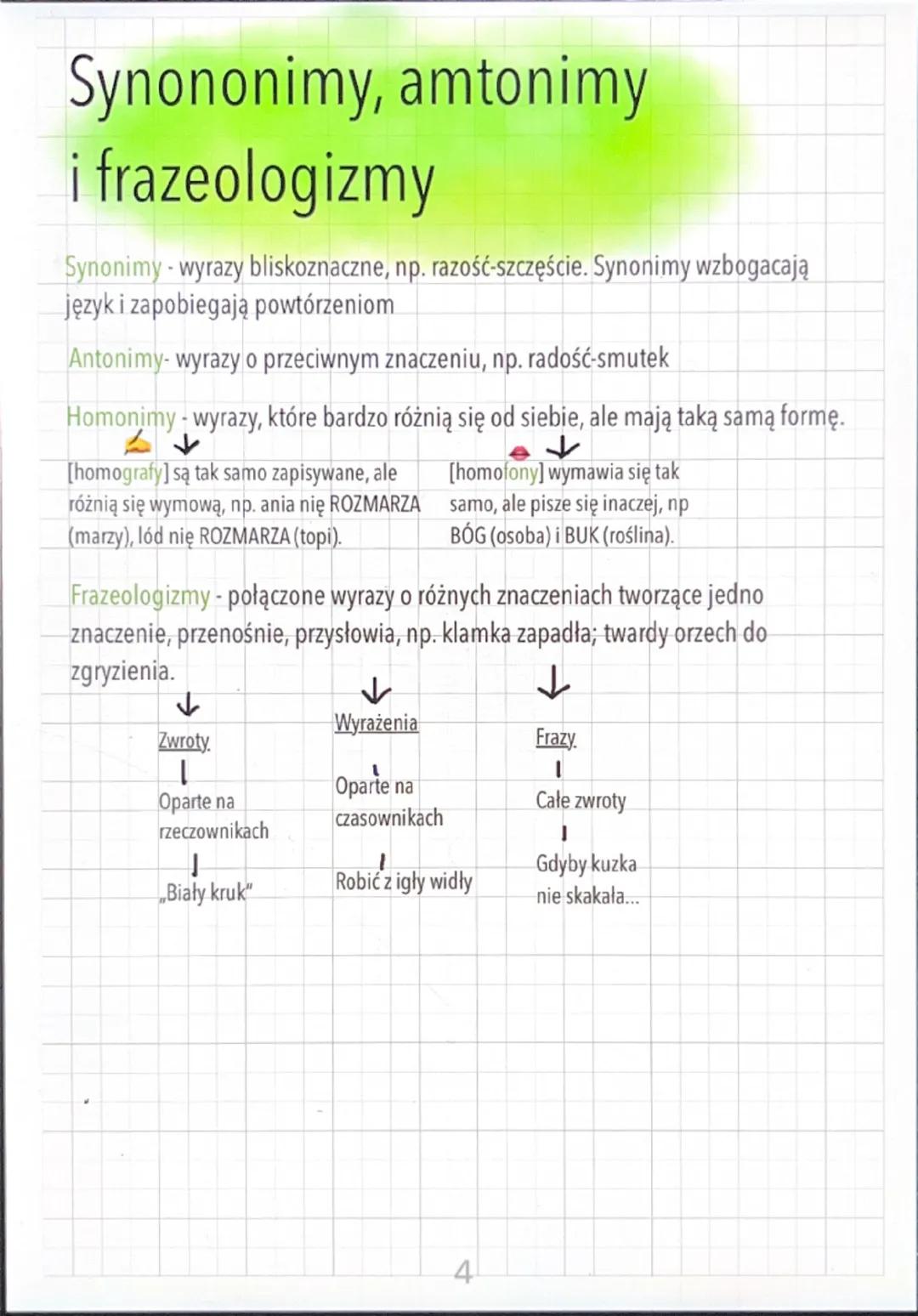 Środki językowe Neologizmy
Nowe wyrazy/zwroty wymyślone na potrzebę nazwania nowej rzeczy
(ta rzecz nie musi na prawdę istnieć)
Neologizmy s