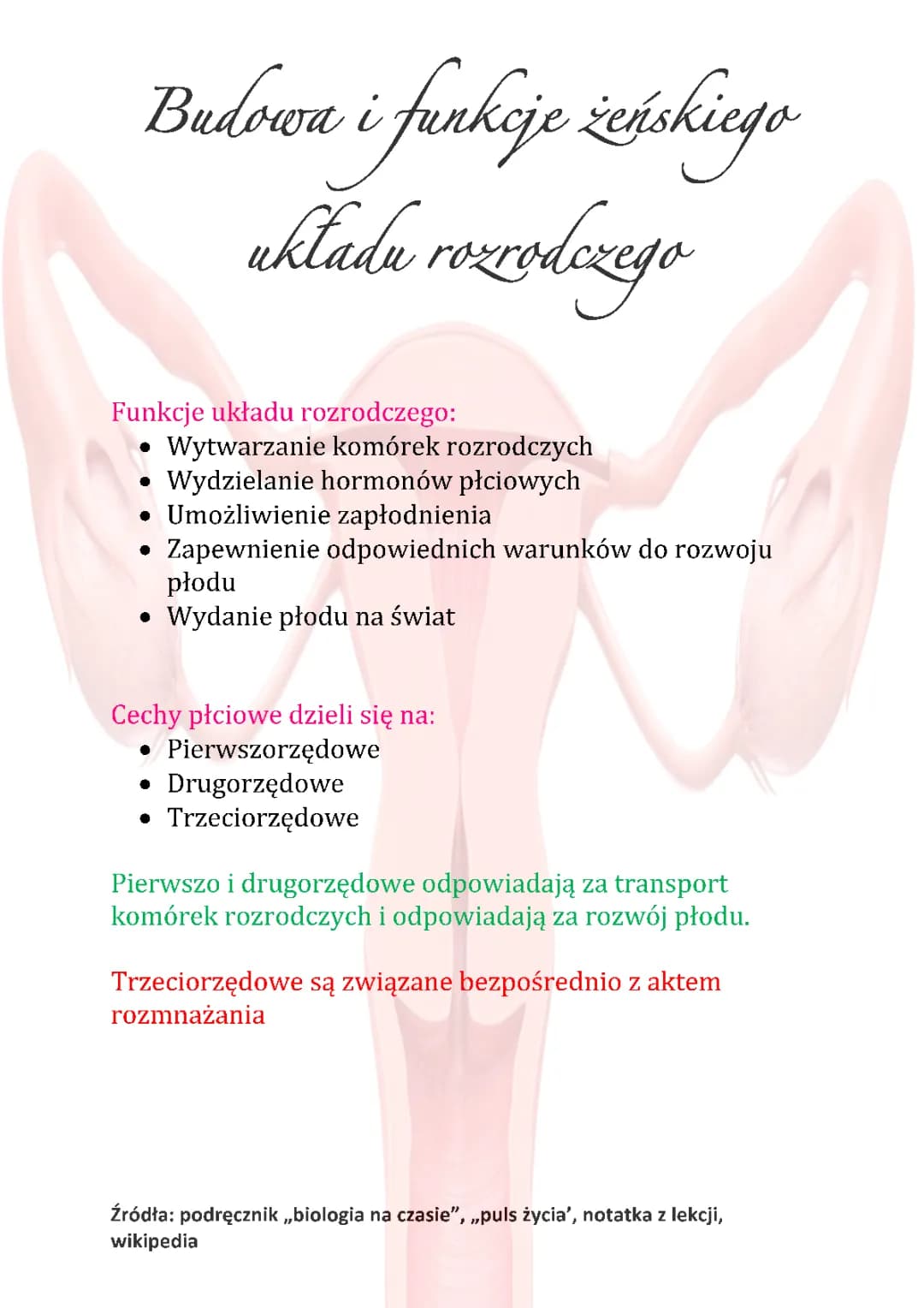 Żeński układ rozrodczy 