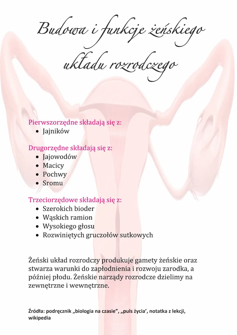 Budowa i funkcje żeńskiego
układu rozrodczego
Funkcje układu rozrodczego:
Wytwarzanie komórek rozrodczych
• Wydzielanie hormonów płciowych
•