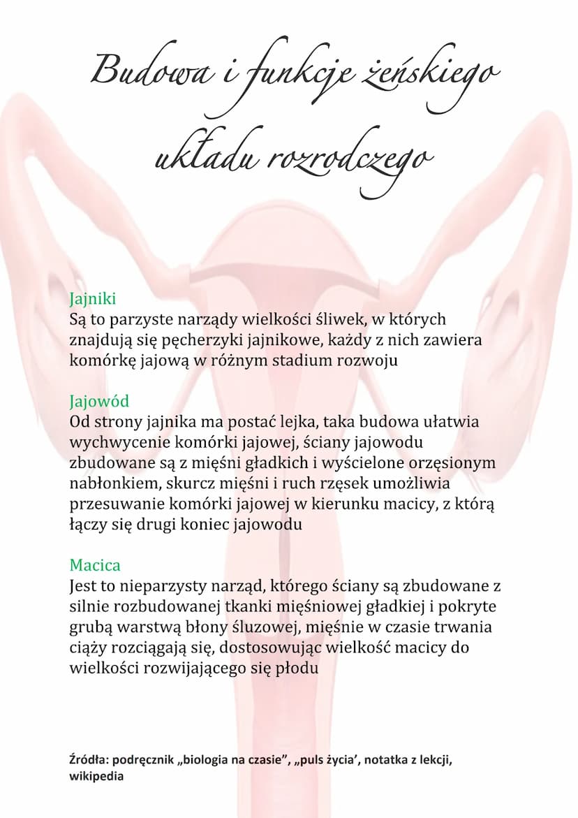 Budowa i funkcje żeńskiego
układu rozrodczego
Funkcje układu rozrodczego:
Wytwarzanie komórek rozrodczych
• Wydzielanie hormonów płciowych
•