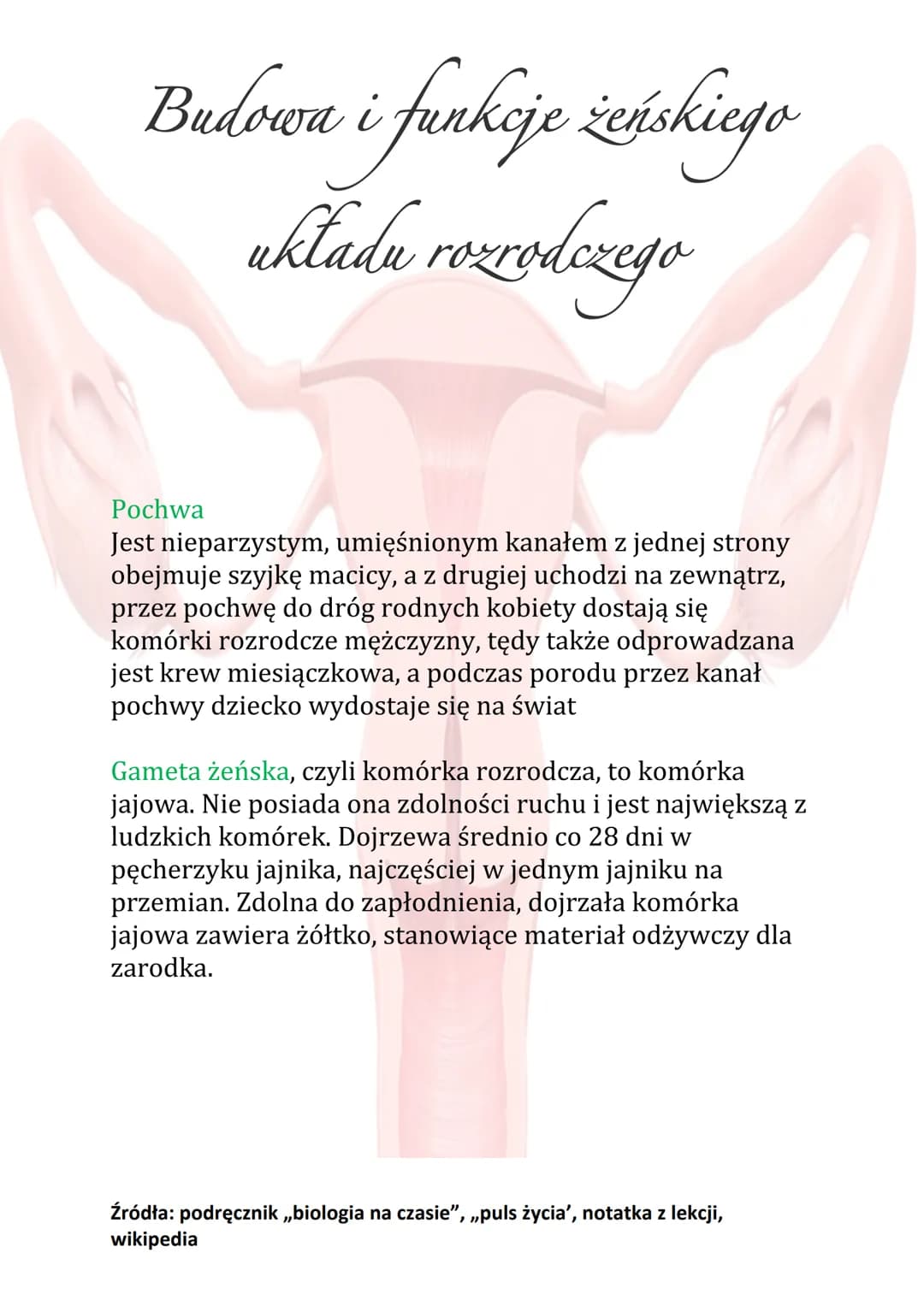 Budowa i funkcje żeńskiego
układu rozrodczego
Funkcje układu rozrodczego:
Wytwarzanie komórek rozrodczych
• Wydzielanie hormonów płciowych
•