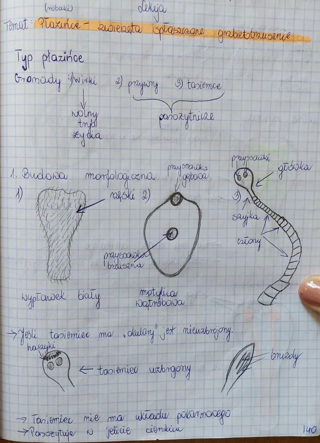 (mobaki)
denja
Temat: Praxińce - zwierzęta spłaszczone grzbietsbrusznie.
Typ plazinice
Gromady ilwirki 2) przywny 9 tasiemce
pańozytnicze
1.