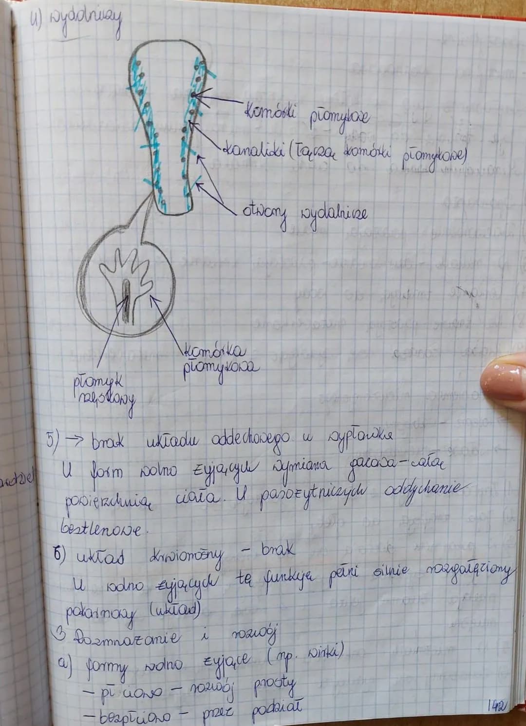 (mobaki)
denja
Temat: Praxińce - zwierzęta spłaszczone grzbietsbrusznie.
Typ plazinice
Gromady ilwirki 2) przywny 9 tasiemce
pańozytnicze
1.