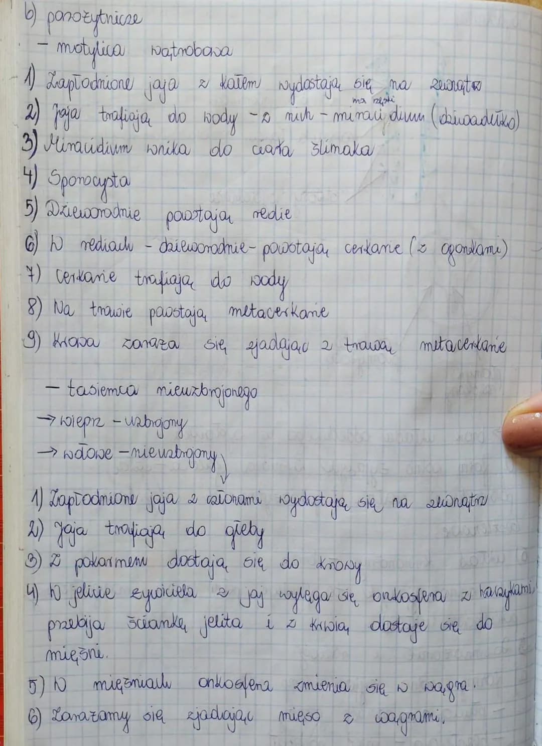 (mobaki)
denja
Temat: Praxińce - zwierzęta spłaszczone grzbietsbrusznie.
Typ plazinice
Gromady ilwirki 2) przywny 9 tasiemce
pańozytnicze
1.