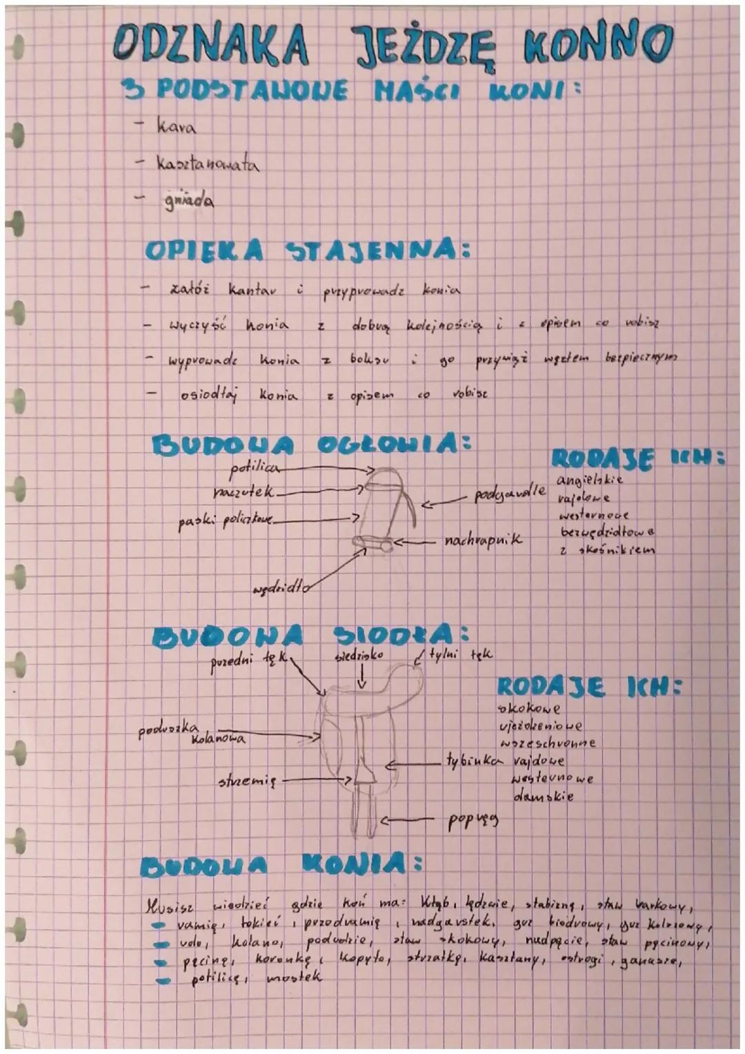 +
→
+
+
+
+
+
+
+
+
4
ODZNAKA JEŻDZĘ KONNO
3 PODSTAWOWE MAŚCI KONI
-
kava
kasztanowata
gniada
OPIERA STATENNA:
załóż kantar
-
wyczyść honia
