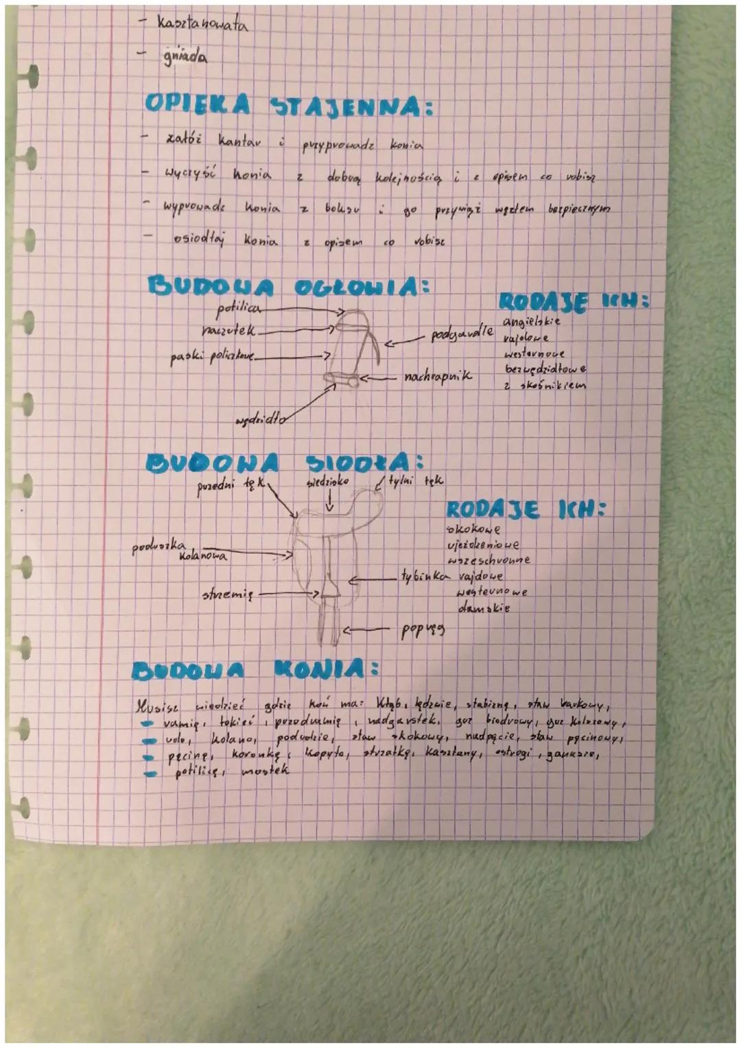 +
→
+
+
+
+
+
+
+
+
4
ODZNAKA JEŻDZĘ KONNO
3 PODSTAWOWE MAŚCI KONI
-
kava
kasztanowata
gniada
OPIERA STATENNA:
załóż kantar
-
wyczyść honia
