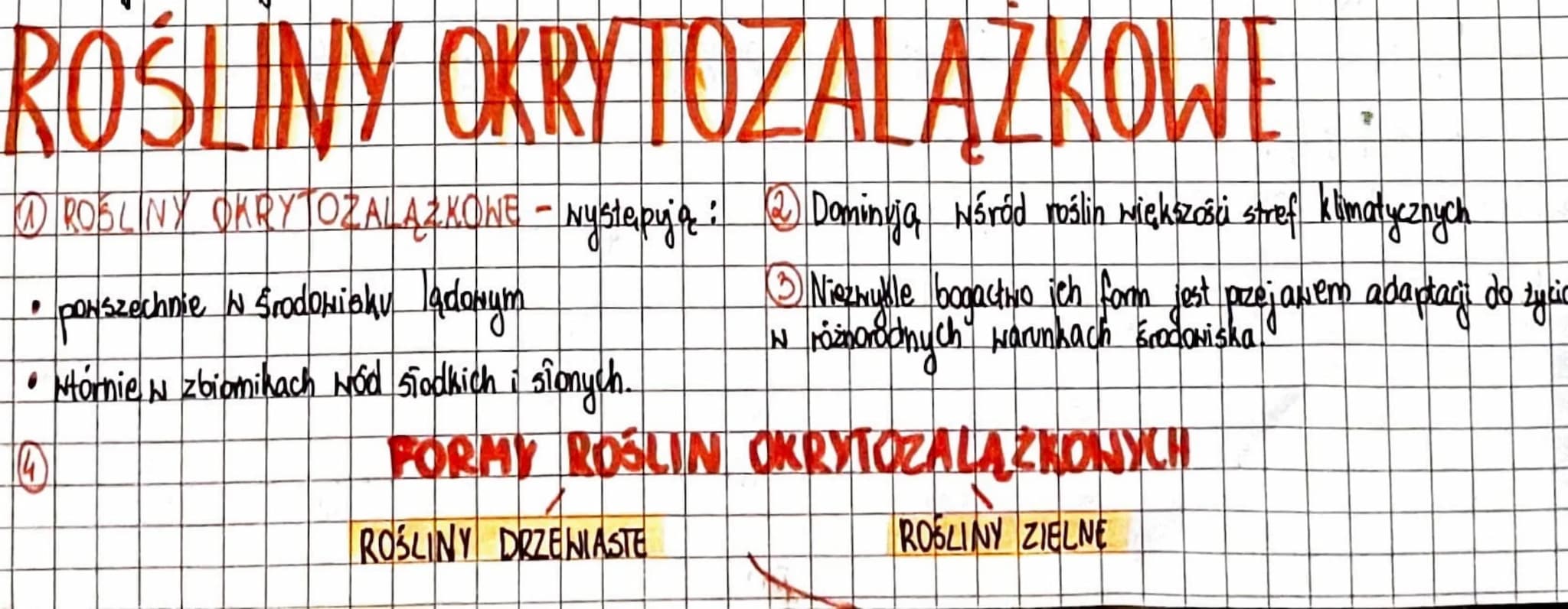 ROŚLINY OKRYTOZALAŻKOWE
ROŚLINY OKRYTOZALĄZKOWE - Nystępują: Dominują wśród roślin większości stref klimatycznych
Ⓒ Niezwykle bogactwo ich f