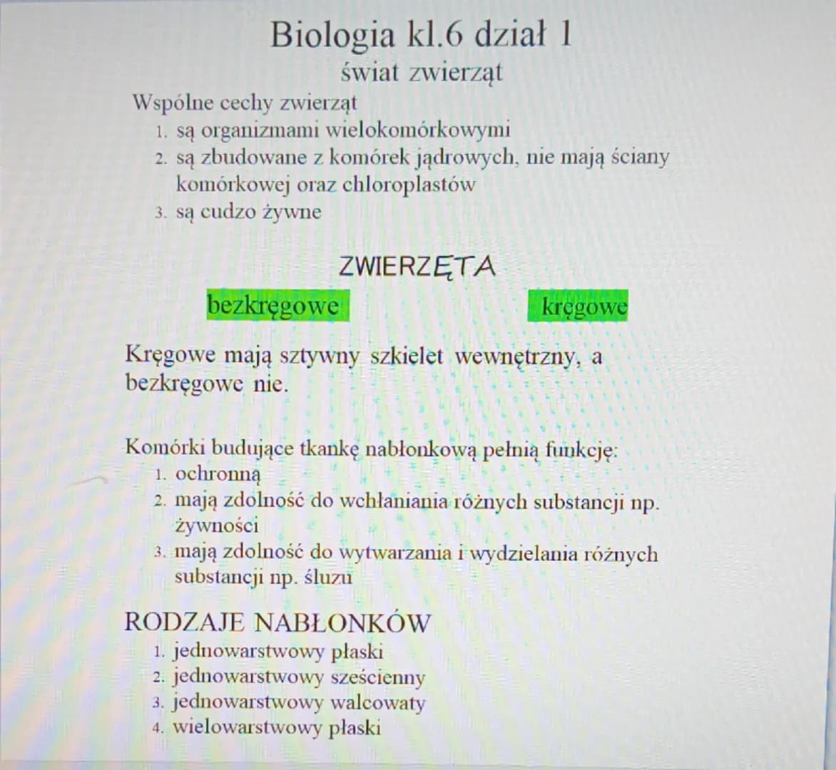 Biologia kl.6 dział 1
świat zwierząt
Wspólne cechy zwierząt
1. są organizmami wielokomórkowymi
2. są zbudowane z komórek jądrowych, nie mają