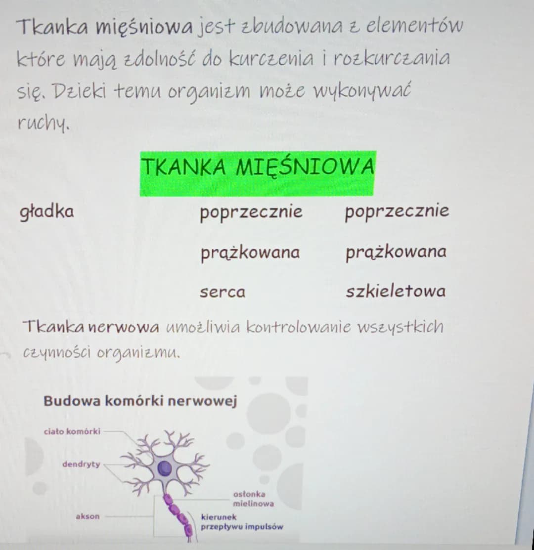 Biologia kl.6 dział 1
świat zwierząt
Wspólne cechy zwierząt
1. są organizmami wielokomórkowymi
2. są zbudowane z komórek jądrowych, nie mają