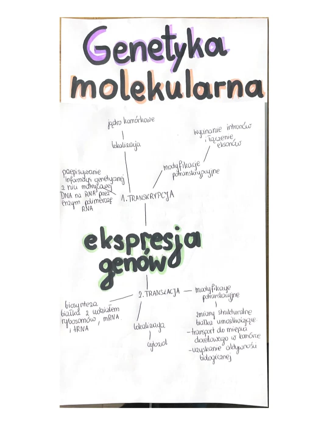 Genetyka
molekularna
jądro komórkowe
lokalizacja
przepisywanie
Informay'i genetycznej
2 niu matry cover
DNA na RNA pe
enzym polimeroze 1. TR