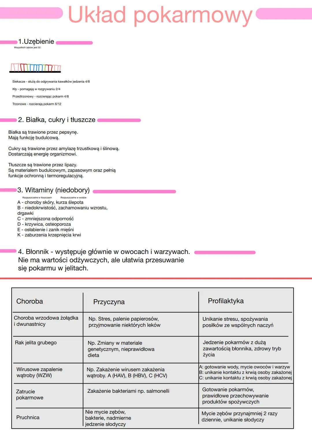 1.Uzębienie
Wszystkich zębów jest 32
Siekacze - służą do odgrywania kawałków jedzenia 4/8
Kły - pomagają w rozgrywaniu 2/4
Przedtrzonowy - r
