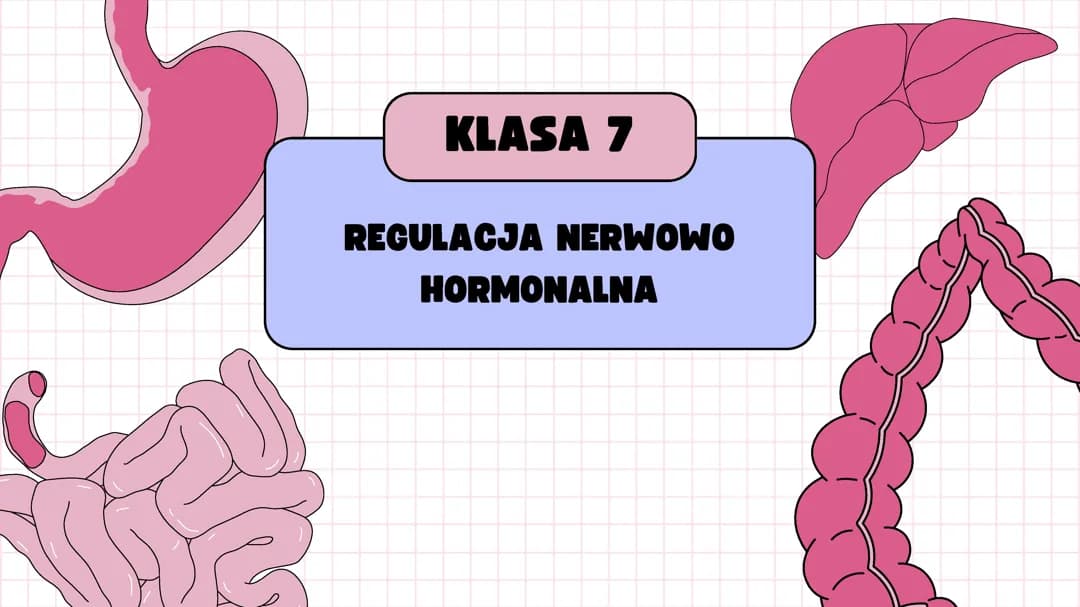 budowa i funkcjonowanie układu hormonalnego