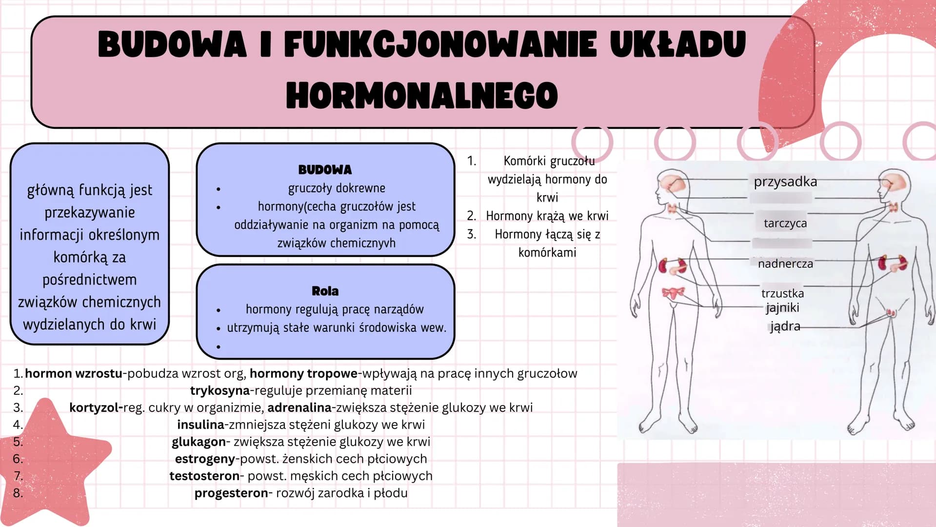 # KLASA 7

REGULACJA NERWOWO
HORMONALNA # BUDOWA I FUNKCJONOWANIE UKŁADU
# HORMONALNEGO



**BUDOWA**
- gruczoły dokrewne
- hormony(cecha gr