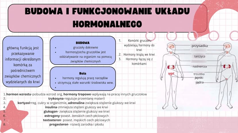 # KLASA 7

REGULACJA NERWOWO
HORMONALNA # BUDOWA I FUNKCJONOWANIE UKŁADU
# HORMONALNEGO



**BUDOWA**
- gruczoły dokrewne
- hormony(cecha gr