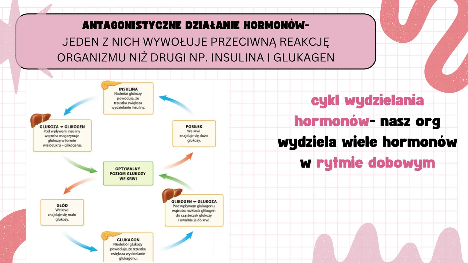 # KLASA 7

REGULACJA NERWOWO
HORMONALNA # BUDOWA I FUNKCJONOWANIE UKŁADU
# HORMONALNEGO



**BUDOWA**
- gruczoły dokrewne
- hormony(cecha gr