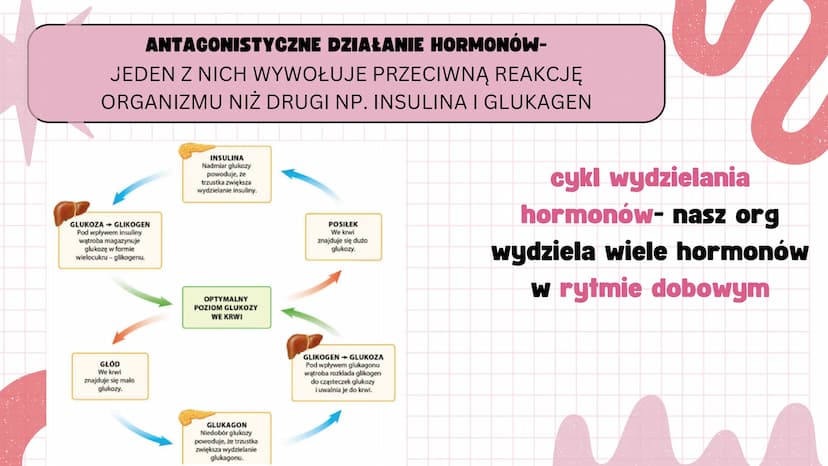 # KLASA 7

REGULACJA NERWOWO
HORMONALNA # BUDOWA I FUNKCJONOWANIE UKŁADU
# HORMONALNEGO



**BUDOWA**
- gruczoły dokrewne
- hormony(cecha gr