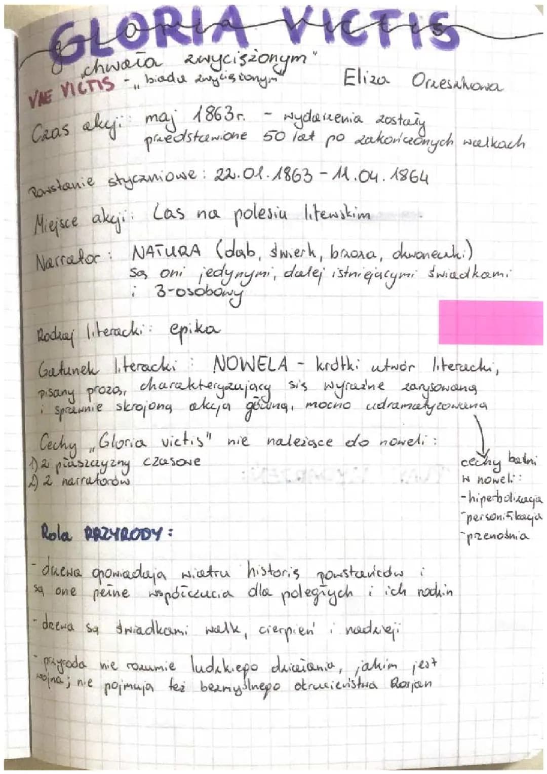 Gloria Victis: Streszczenie i Bohaterowie - Opowieść Elizy Orzeszkowej