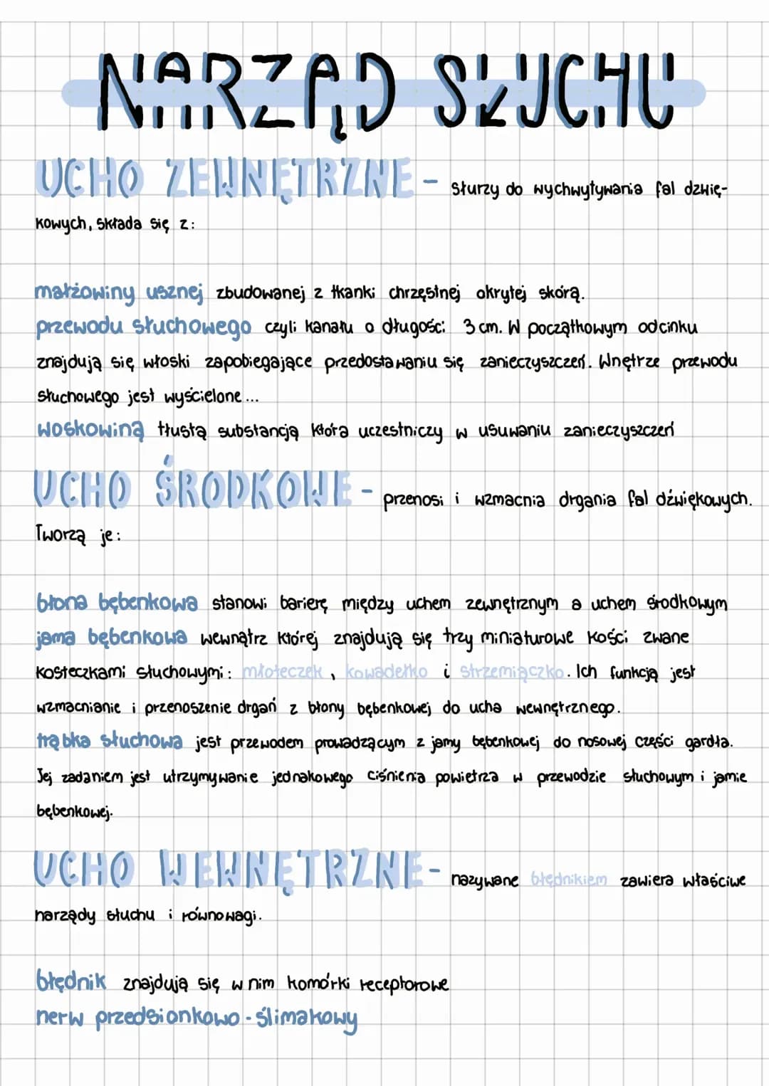 Budowa i działanie narządu wzroku