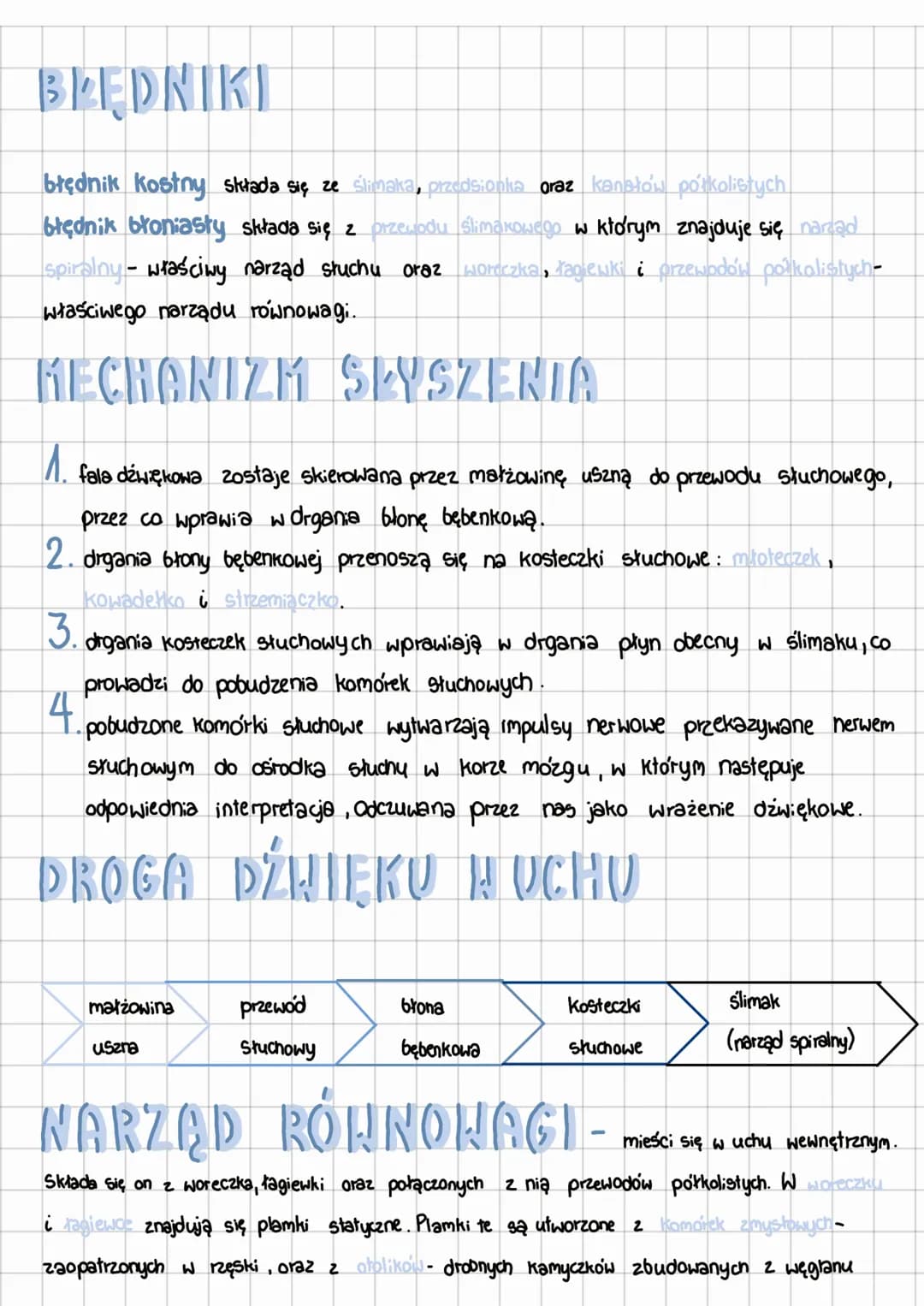 NARZĄD SLUCHU
UCHO ZEWNĘTRZNE - Sturzy do wychwytywania fal dzwię-
Kowych, składa się z:
małżowiny usznej zbudowanej z tkanki chrzęstnej okr