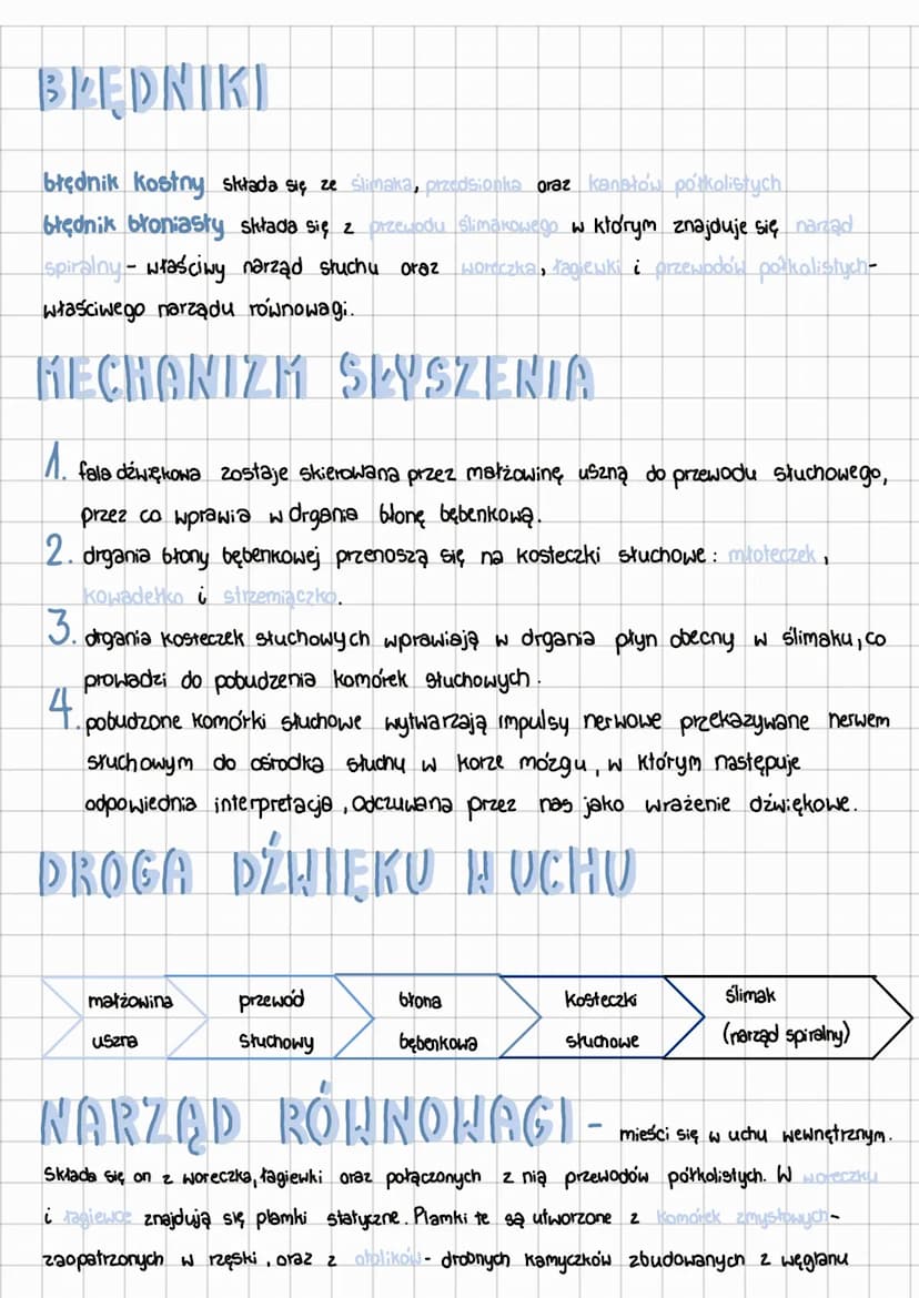 NARZĄD SLUCHU
UCHO ZEWNĘTRZNE - Sturzy do wychwytywania fal dzwię-
Kowych, składa się z:
małżowiny usznej zbudowanej z tkanki chrzęstnej okr