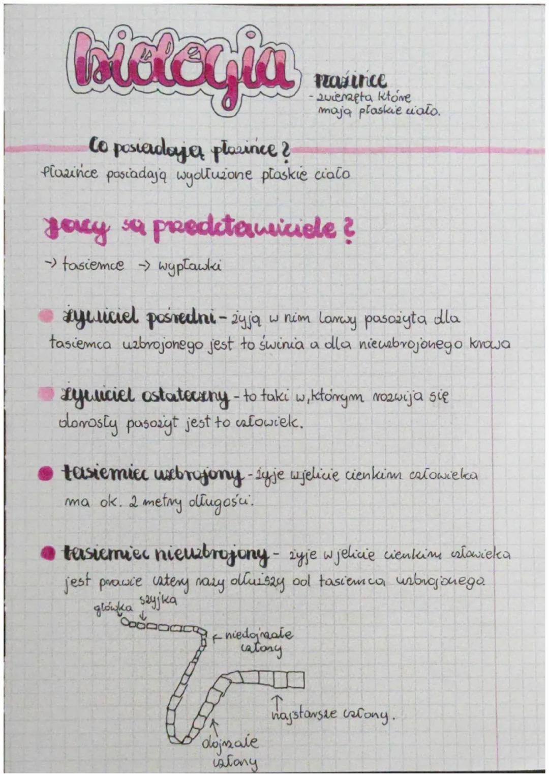 ## Prasince
-zwierzęta które
mają płaskie ciało.

## Co posiadają płazince?
Plazince posiadają wyolłużone płaskie ciało

## jacy sa predstaw