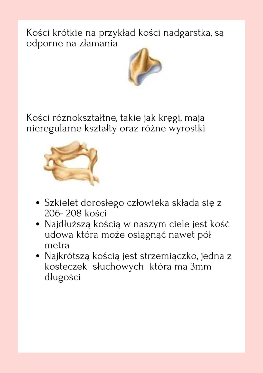 APARAT RUCHU.
BUDOWA SZKIELET. Układ szkieletowy i mięśniowy, współpracujące
ze sobą tworzą aparat ruchu.

Układ szkieletowy stanowi część b