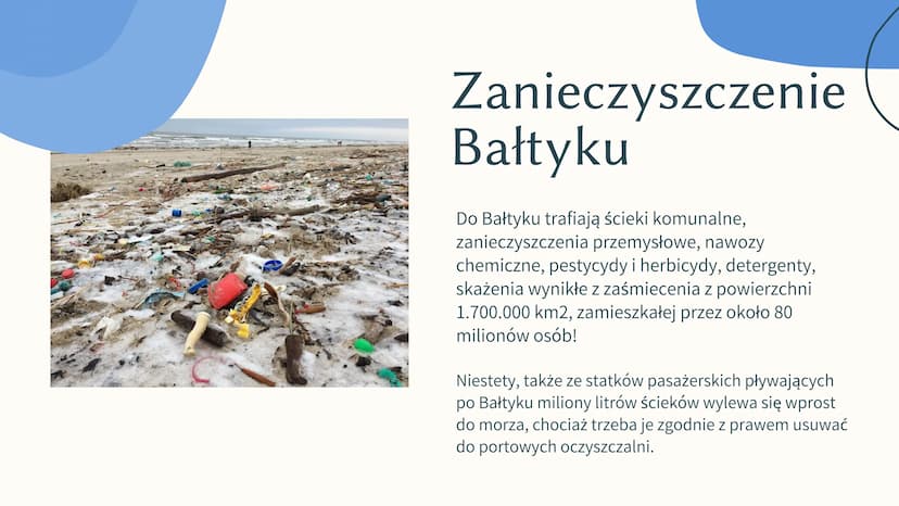 MORZE BATYCKIE
POLINA BUKSHYNA 7-A Chararterystyka
Bałtyki
Bałtyk zwany jest śródlądowym morzem
północnej Europy, ponieważ ze wszystkich str