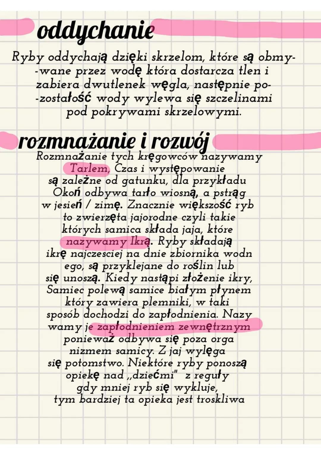 Wędrówki ryb
Co to są tak wlasciwie wędrówki ryb? otóż są to
wyprawy które odbywają np. łosoś lub
wegorz, ich celem jest tarło ( czyli wcześ