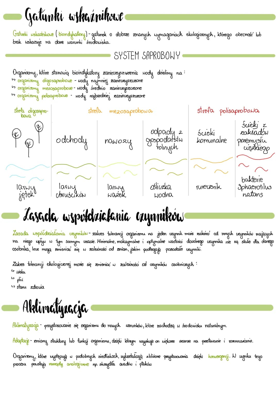 
<p>Ekologia jest nauką o strukturze i funkcjonowaniu przyrody. Ekolodzy badają różne poziomy organizacji biologicznej, takie jak osobnik, p