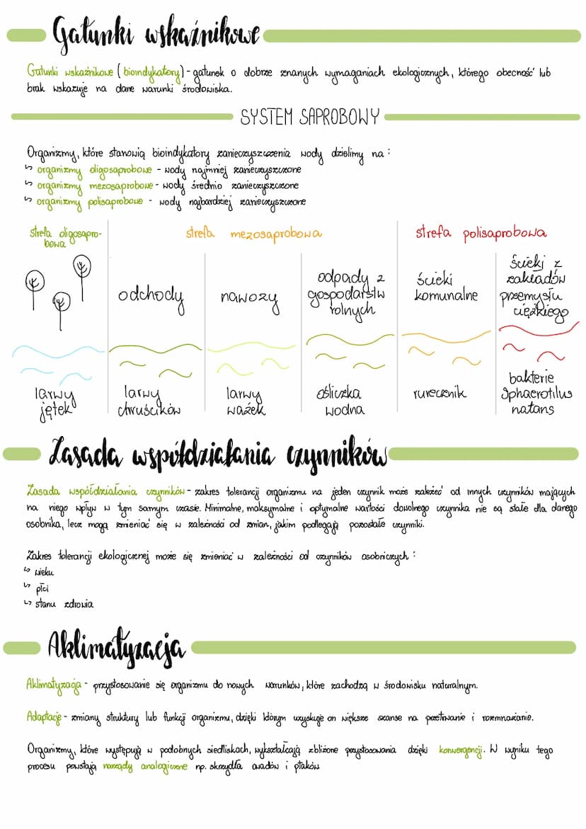 
<p>Ekologia jest nauką o strukturze i funkcjonowaniu przyrody. Ekolodzy badają różne poziomy organizacji biologicznej, takie jak osobnik, p