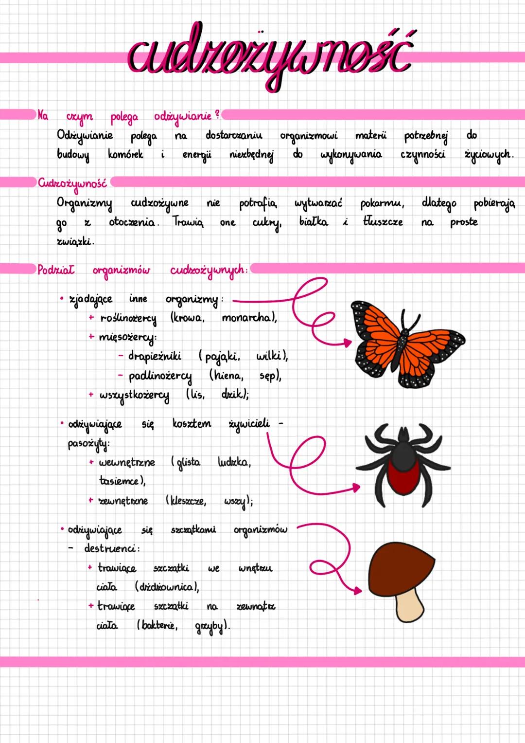 Cudzożywność w Biologii - Co To Jest?