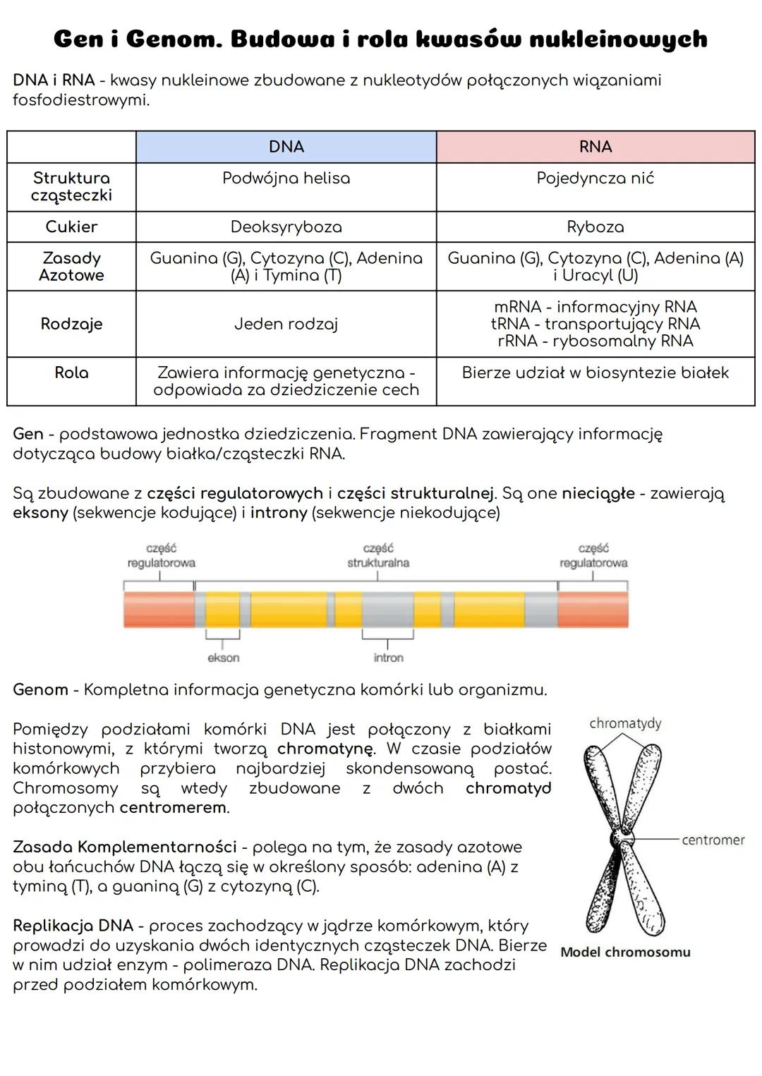 Gen i Genom. Budowa i rola kwasów nukleinowych
DNA i RNA - kwasy nukleinowe zbudowane z nukleotydów połączonych wiązaniami
fosfodiestrowymi.