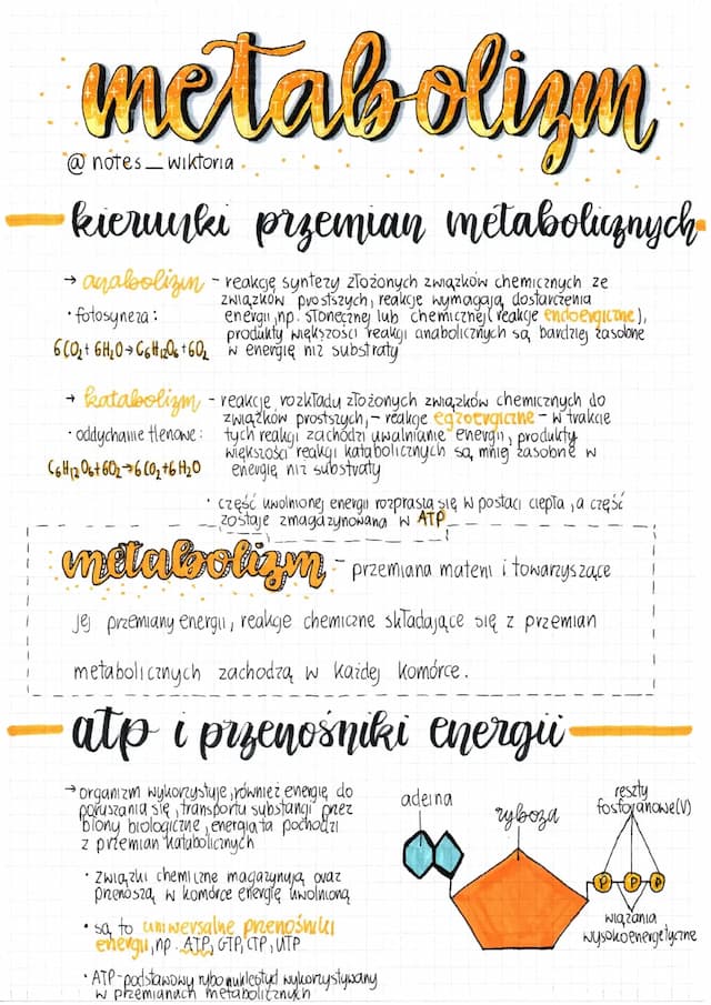 Know metabolizm thumbnail