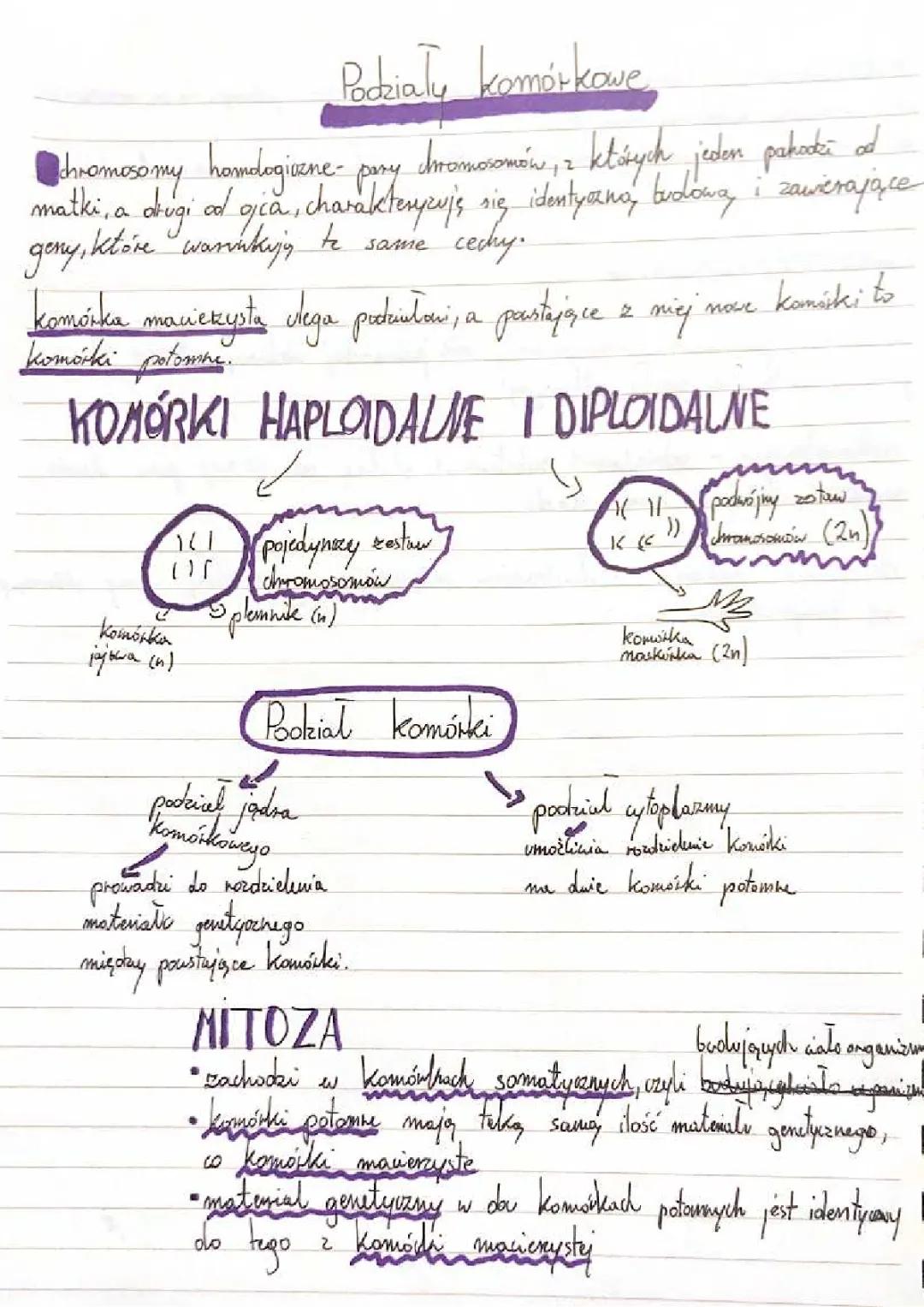Podziały komórkowe w 8 klasie – mitoza i mejoza w komórkach