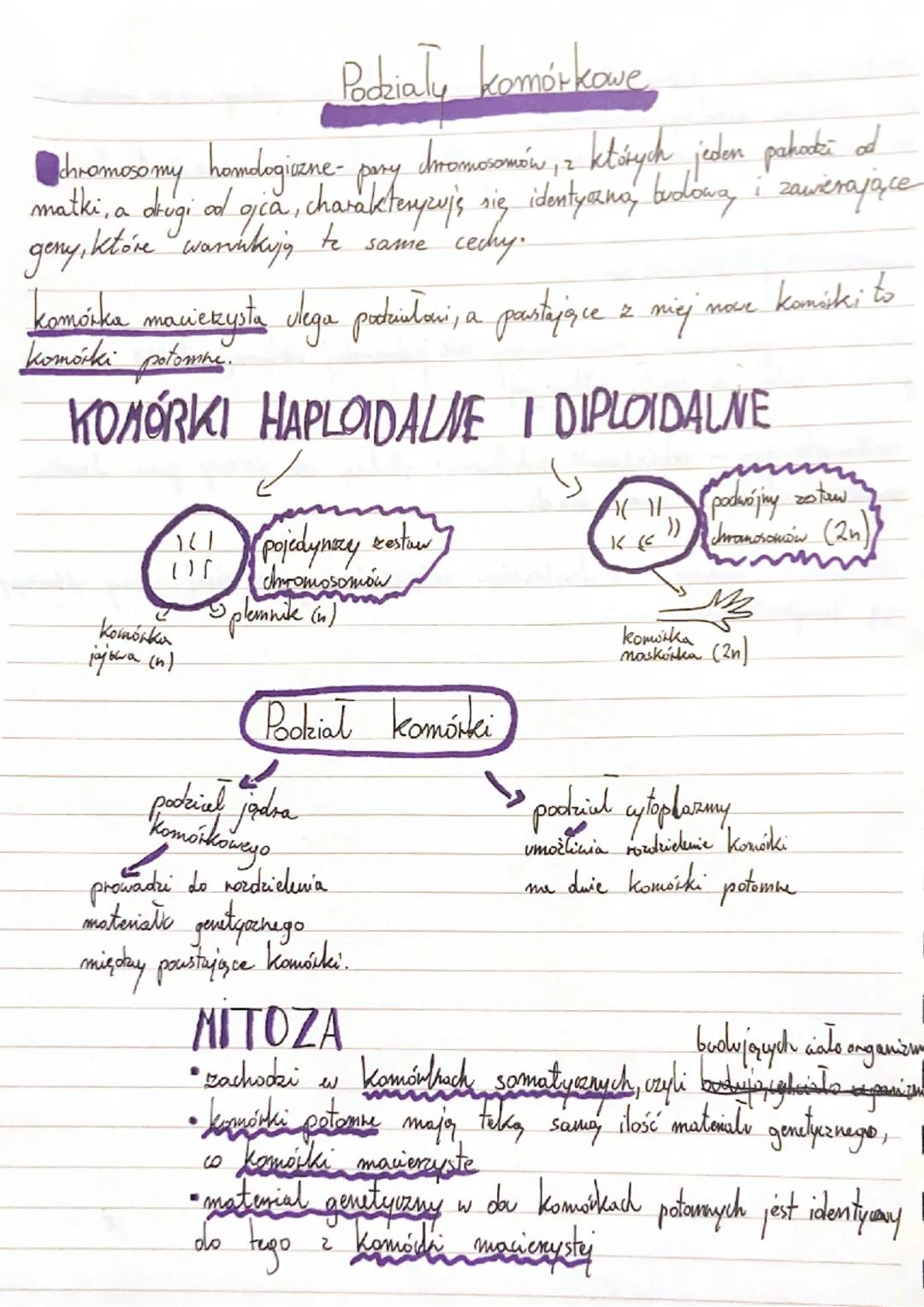 chromosomy homdogiczne - pary
dromosomów, z których jeden pahodki od
matki, a drugi od oica, charakteryzują się identyczną, budową, i zawier
