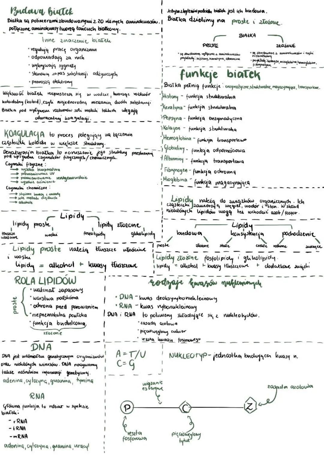 Chemiczne podstawy życia
Podstawowymi składnikami chemicznymi każdego organizmu są pierwiastki
chemiczne.
Wśród związków chemicznych występu