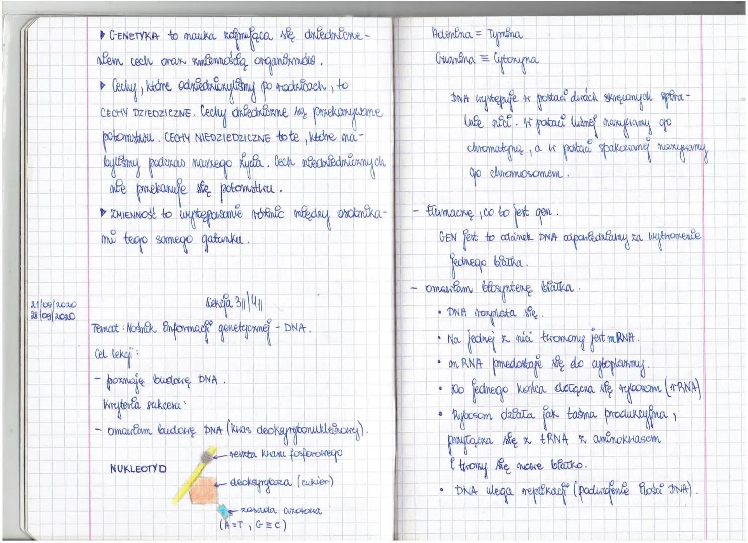 DZIAŁ 1.
GENETYKΑ
14/09/2020
Lekcja 211
Temat: Czym jest genetyka?
Cel lekcji:
- dowiaduję się, co to jest genetyka.
Kryteria sukcesu:
- dok
