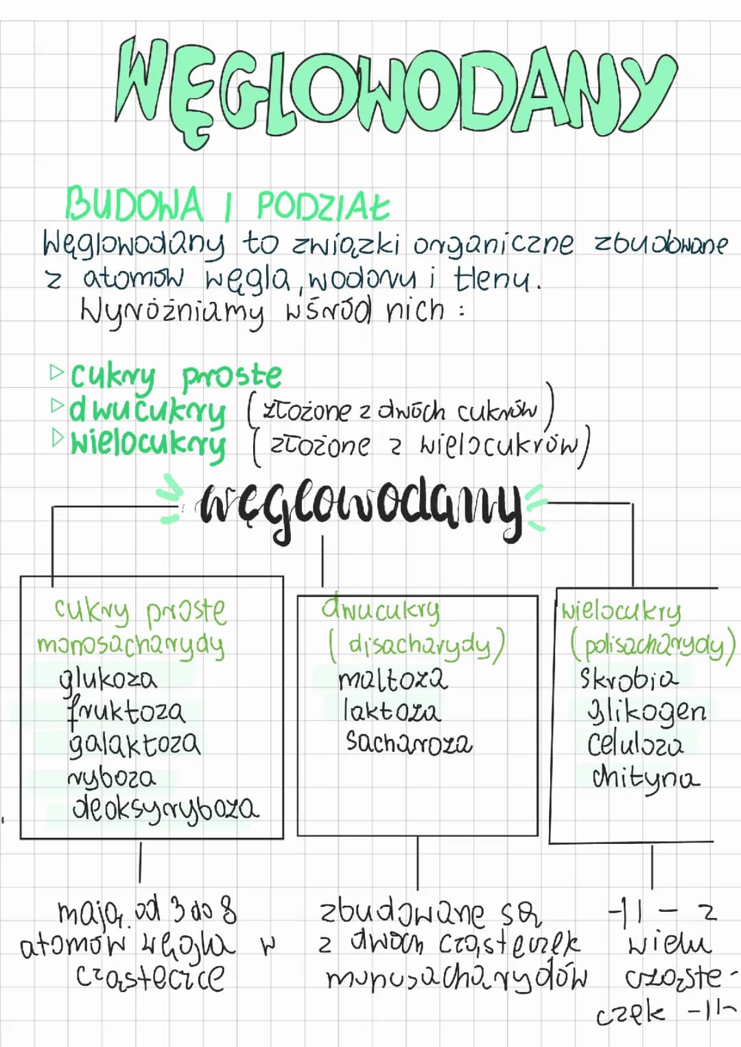 Węglowodany.