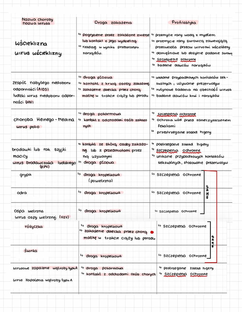 WIRUSY
=>
1. Absorbcja
●
wivusy nie są zywe, poniewaz nic
=> wivusy namnazają się w homovce gospodana TYLKO
Przebieg infekcji wivusowej
·
Wi