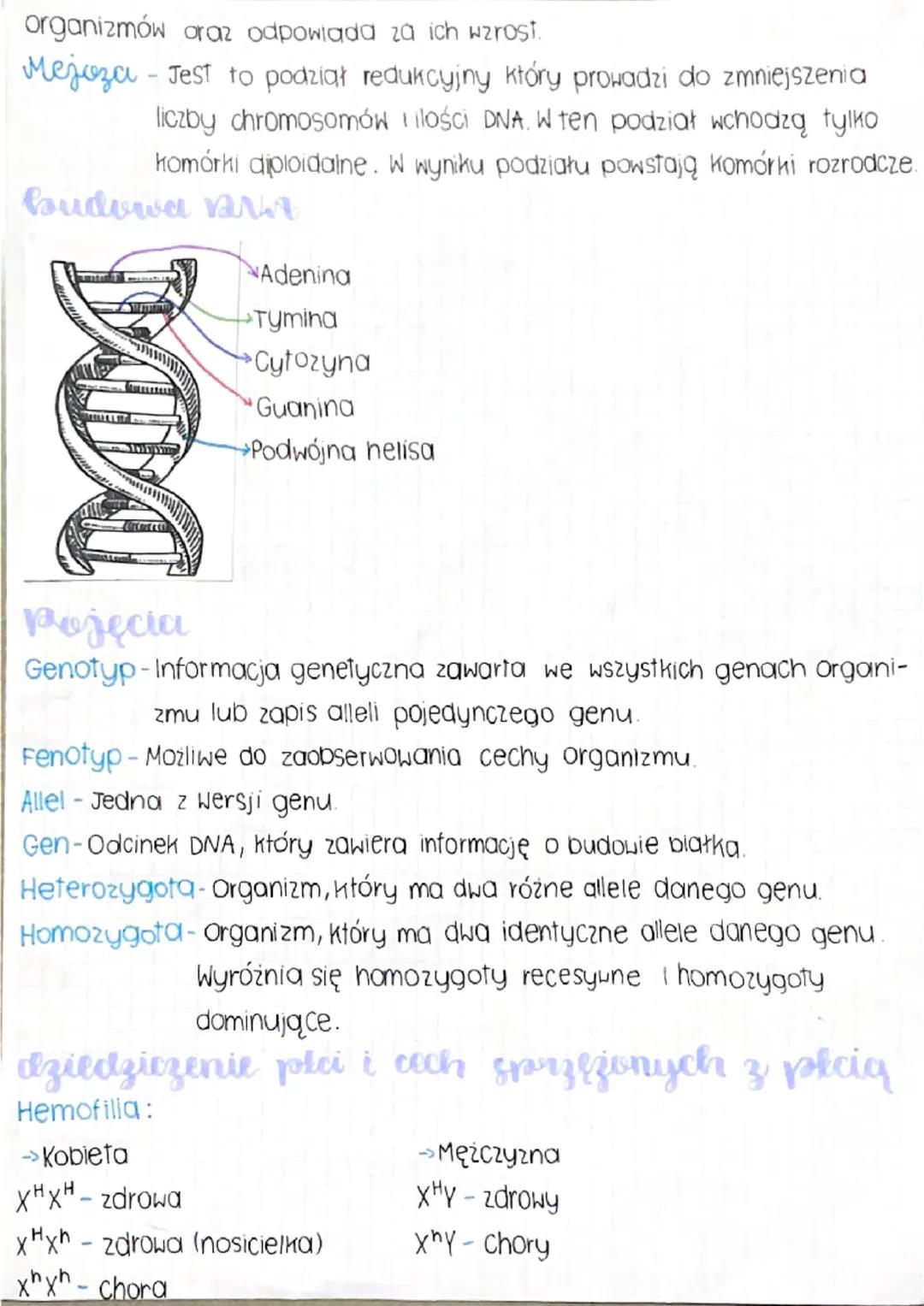 Exowym?
rechy dziedziczne i niedziedziczne
Dziedziczne - Cechy, które odziedziczyliśmy po rodzicach.
No. Kolor skóry, rysy twarzy, kolor ocz