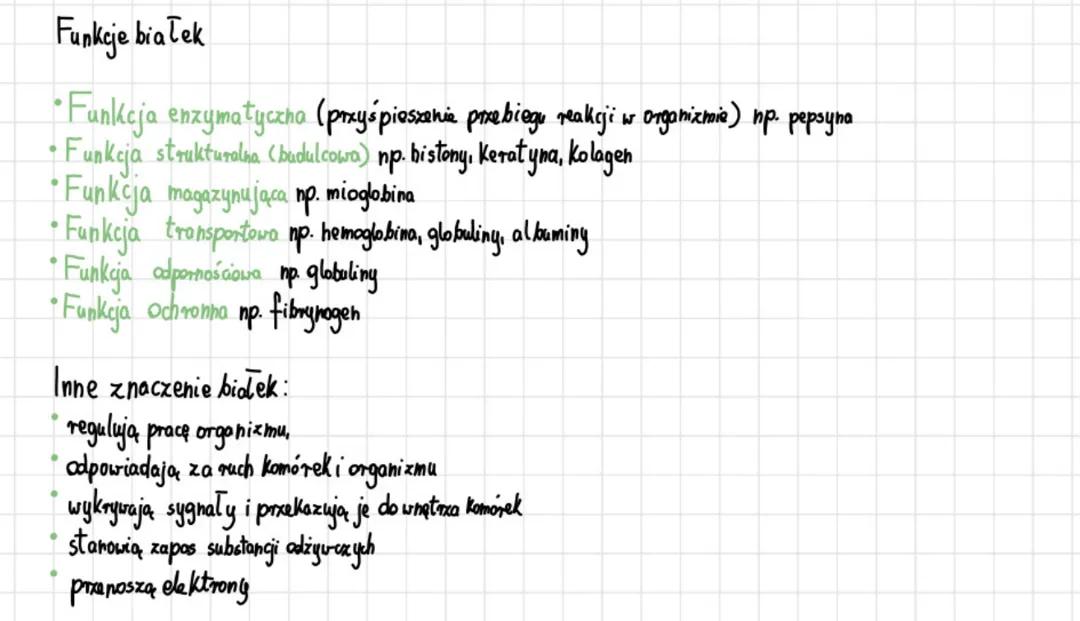 Funkcje białek: Jak działają w organizmie?