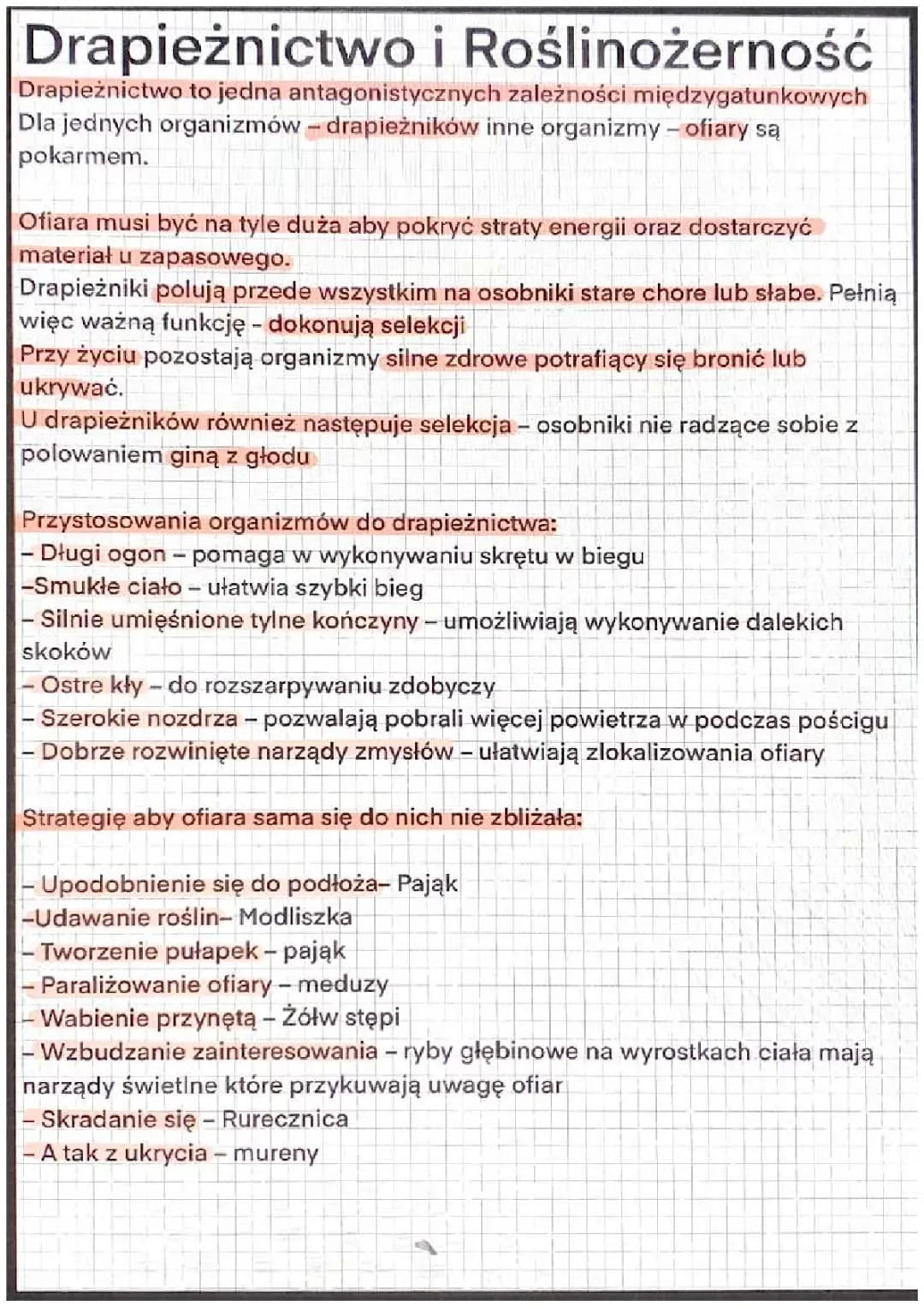 Drapieżnictwo