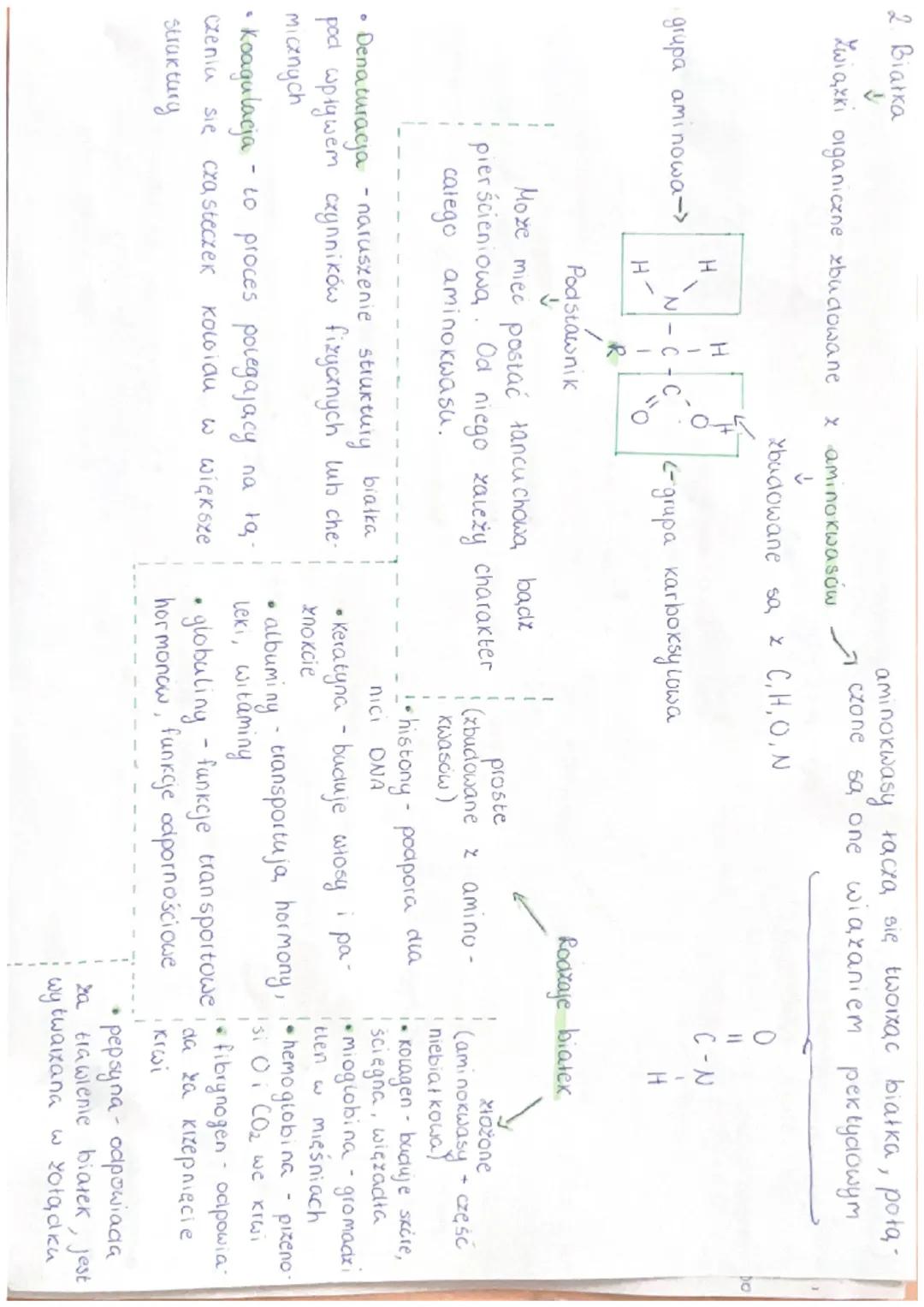 2. Biarka
↓
Związki organiczne zbudowane

H
grupa aminowa->
N-C-C
H
R
Podstawnik
↓
aminokwasy łączą się tworząc biatka, pota-
x aminokwasów 